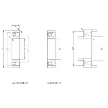 Bantalan 1319K SKF