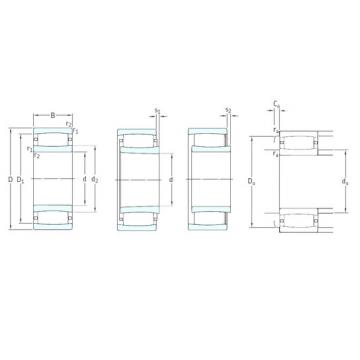 Bantalan C4020V SKF