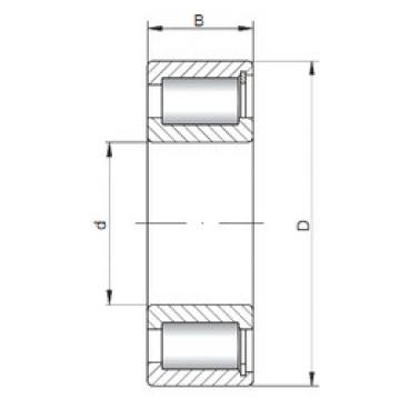 Bantalan NCF3036 V CX