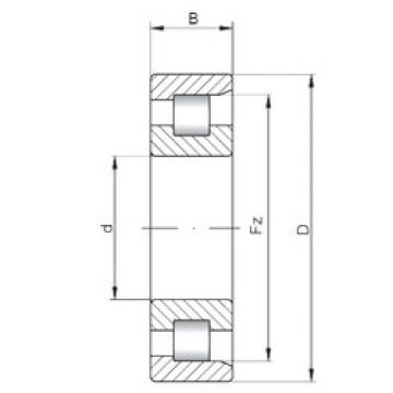 Bantalan NF2340 ISO