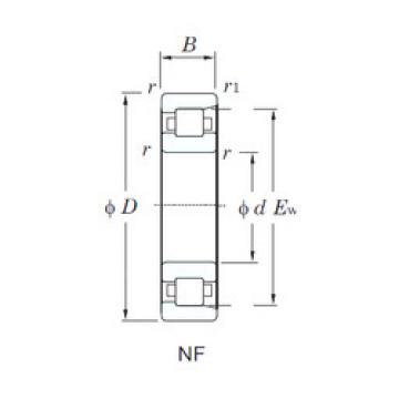 Bantalan NF326 KOYO