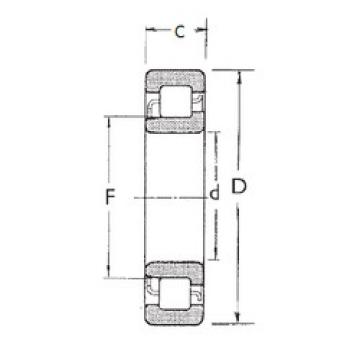 Bantalan NJ213 FBJ