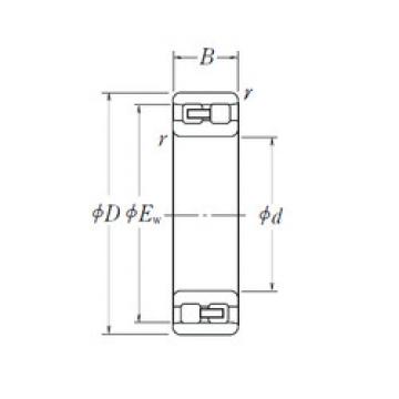 Bantalan NN 3011 NSK