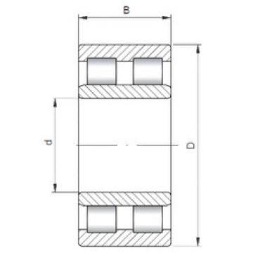 Bantalan NNU6026 V ISO