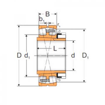 Bantalan 22234 ACKMBW33+H3134 MPZ