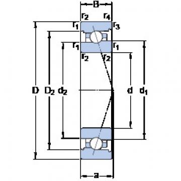 Bantalan 7024 CB/P4A SKF