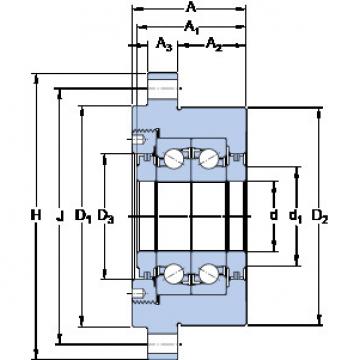 Bantalan FBSA 209/DF SKF