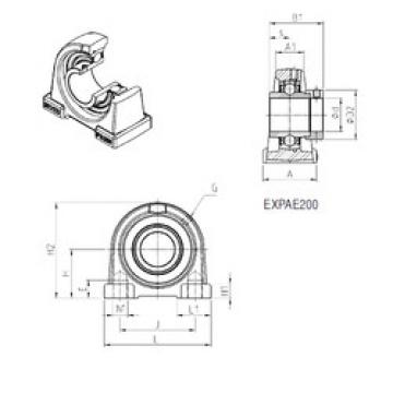 Bantalan EXPAE207 SNR