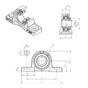 Bantalan UKP216H SNR