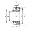 Bantalan 22256-B-K-MB + H3156X FAG