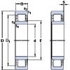 Bantalan NU 206 ECP SKF