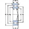 Bantalan 7008 CE/HCP4A SKF #1 small image