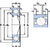 Bantalan 7024 CD/P4AL SKF #1 small image