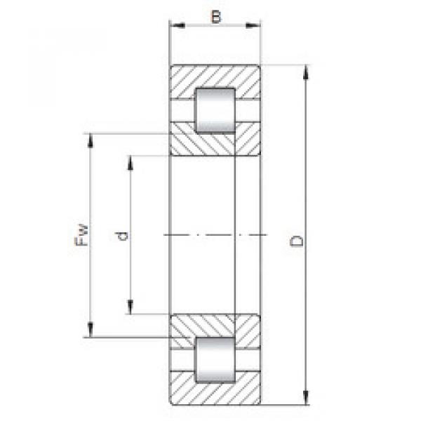 Bantalan NUP2238 E CX #1 image