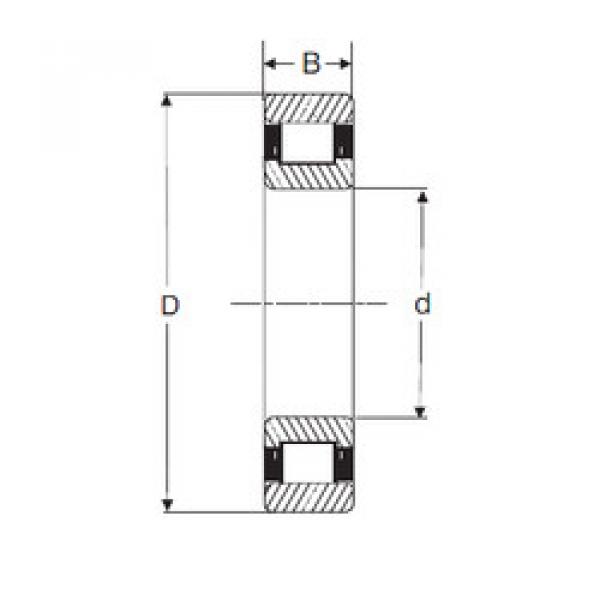 Bantalan LRJ 7/8 SIGMA #1 image