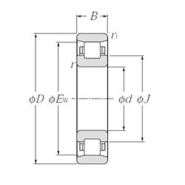 Bantalan N317 NTN #1 image