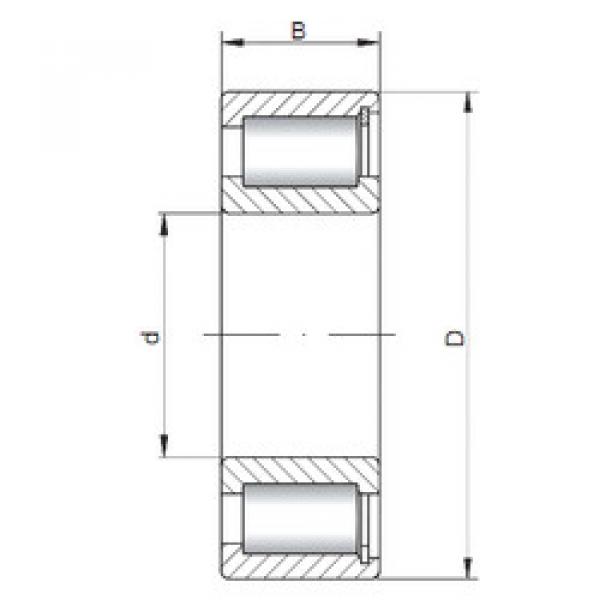 Bantalan NCF3036 V CX #1 image