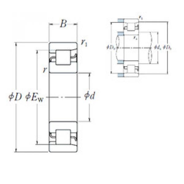 Bantalan NF 415 NSK #1 image