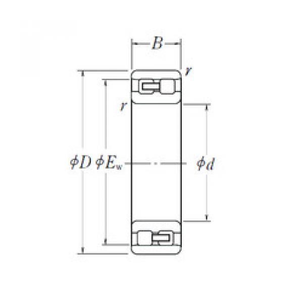 Bantalan NN 3007 NSK #1 image