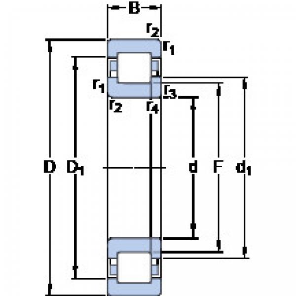 Bantalan NUP 206 ECML SKF #1 image