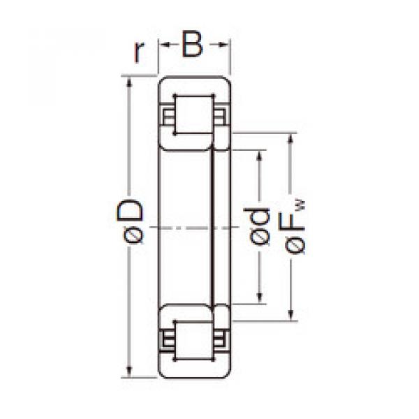 Bantalan NUP206EG NACHI #1 image