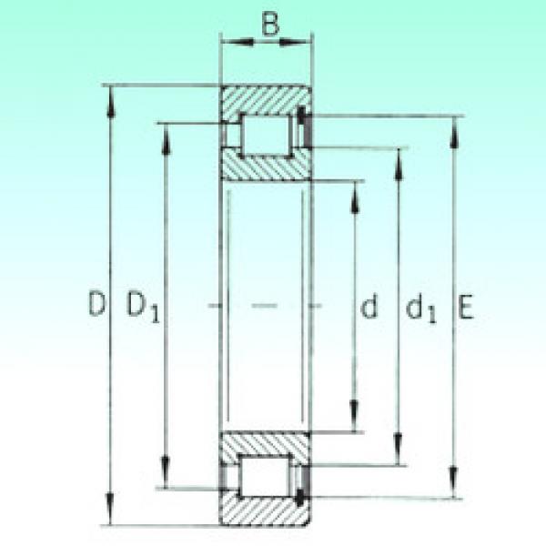 Bantalan SL183052 NBS #1 image