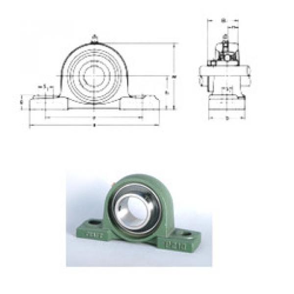 Bantalan UCP210 CRAFT #1 image